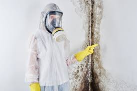 Best Attic Mold Removal  in Johnstonville, CA